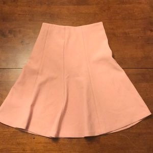 Dusty Rose Ann Taylor Skirt